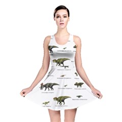 Dinosaurs Names Reversible Skater Dress by Valentinaart