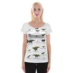 Dinosaurs Names Women s Cap Sleeve Top by Valentinaart