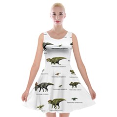 Dinosaurs Names Velvet Skater Dress