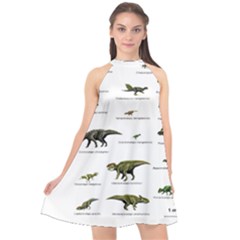 Dinosaurs Names Halter Neckline Chiffon Dress  by Valentinaart