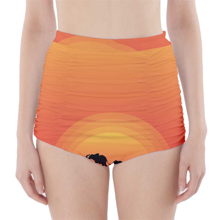 Elephant Baby Elephant Wildlife High-Waisted Bikini Bottoms