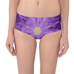 Purple Flower Floral Purple Flowers Mid-waist Bikini Bottoms by Nexatart