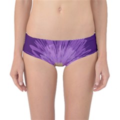 Purple Flower Floral Purple Flowers Classic Bikini Bottoms by Nexatart