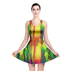 Abstract Vibrant Colour Botany Reversible Skater Dress by Nexatart