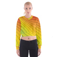 Abstract Pattern Lines Wave Cropped Sweatshirt by Nexatart