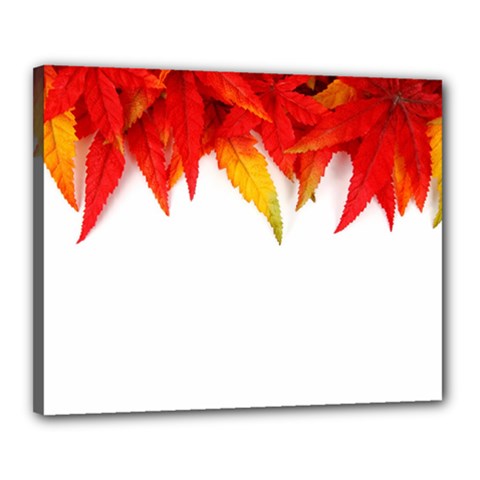 Abstract Autumn Background Bright Canvas 20  X 16  by Nexatart