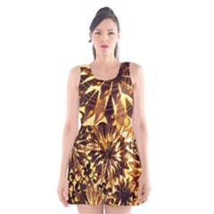 Mussels Lamp Star Pattern Scoop Neck Skater Dress by Nexatart