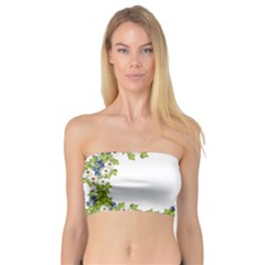 Birthday Card Flowers Daisies Ivy Bandeau Top by Nexatart