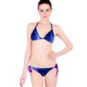 Flow Blue Pink High Definition Bikini Set View3