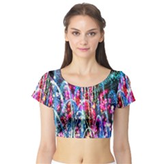 Fireworks Rainbow Short Sleeve Crop Top (tight Fit)