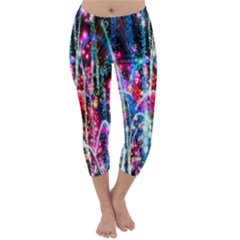 Fireworks Rainbow Capri Winter Leggings 