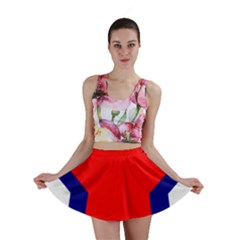 Stars Red Blue Mini Skirt by Mariart