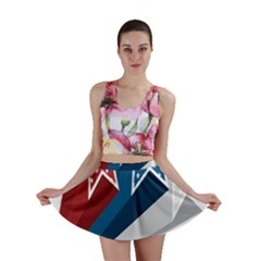 Star Red Blue White Line Space Mini Skirt