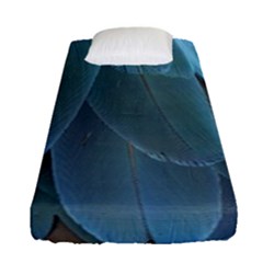 Feather Plumage Blue Parrot Fitted Sheet (single Size) by Nexatart