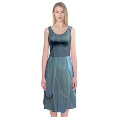 Feather Plumage Blue Parrot Midi Sleeveless Dress by Nexatart