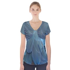 Feather Plumage Blue Parrot Short Sleeve Front Detail Top by Nexatart