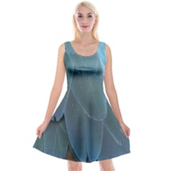 Feather Plumage Blue Parrot Reversible Velvet Sleeveless Dress by Nexatart