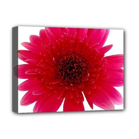 Flower Isolated Transparent Blossom Deluxe Canvas 16  X 12  