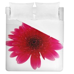 Flower Isolated Transparent Blossom Duvet Cover (queen Size) by Nexatart