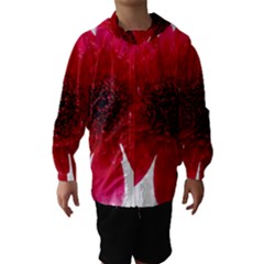 Flower Isolated Transparent Blossom Hooded Wind Breaker (kids) by Nexatart