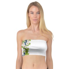 Birthday Card Flowers Daisies Ivy Bandeau Top by Nexatart