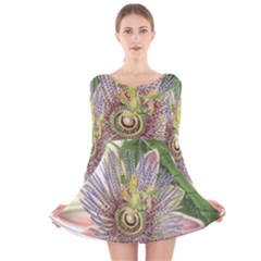 Passion Flower Flower Plant Blossom Long Sleeve Velvet Skater Dress by Nexatart