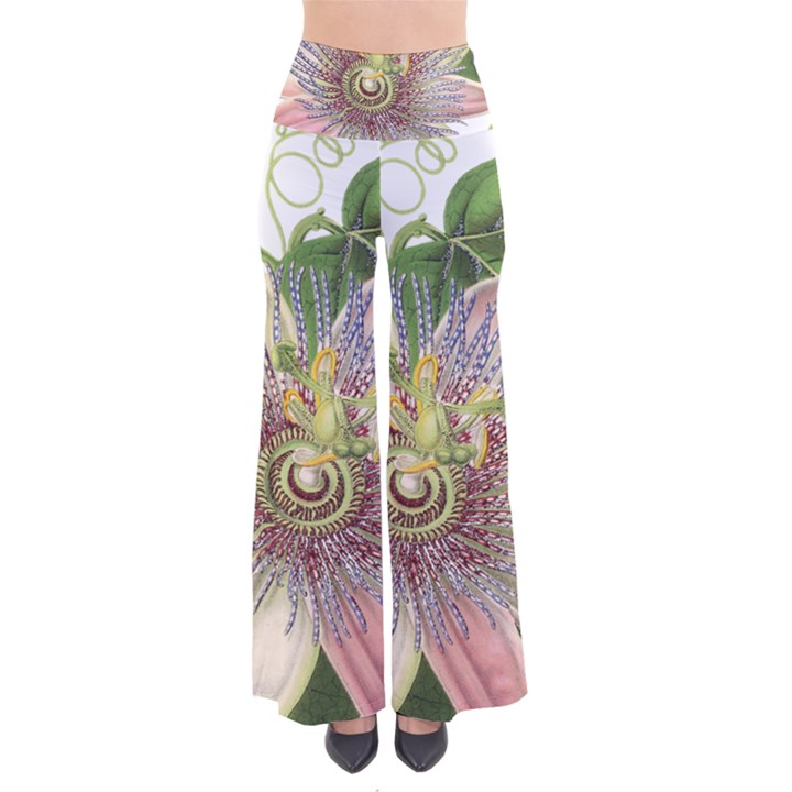 Passion Flower Flower Plant Blossom Pants