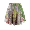 Passion Flower Flower Plant Blossom Mini Flare Skirt View2