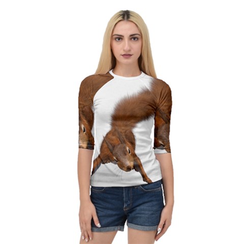 Squirrel Wild Animal Animal World Quarter Sleeve Tee by Nexatart