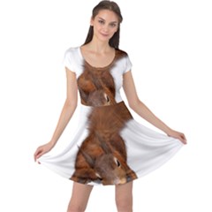 Squirrel Wild Animal Animal World Cap Sleeve Dresses by Nexatart