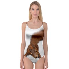 Squirrel Wild Animal Animal World Camisole Leotard  by Nexatart