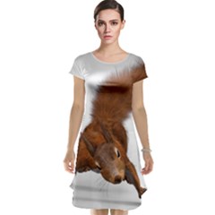 Squirrel Wild Animal Animal World Cap Sleeve Nightdress by Nexatart