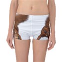 Squirrel Wild Animal Animal World Reversible Bikini Bottoms View1