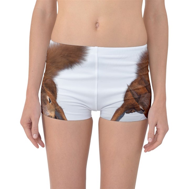 Squirrel Wild Animal Animal World Reversible Bikini Bottoms