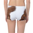 Squirrel Wild Animal Animal World Reversible Bikini Bottoms View2