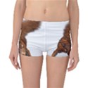 Squirrel Wild Animal Animal World Reversible Bikini Bottoms View3