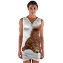 Squirrel Wild Animal Animal World Wrap Front Bodycon Dress View1