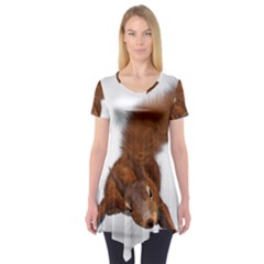 Squirrel Wild Animal Animal World Short Sleeve Tunic  by Nexatart