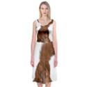 Squirrel Wild Animal Animal World Midi Sleeveless Dress View1