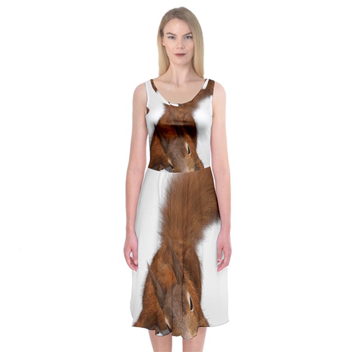 Squirrel Wild Animal Animal World Midi Sleeveless Dress