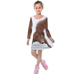 Squirrel Wild Animal Animal World Kids  Long Sleeve Velvet Dress by Nexatart