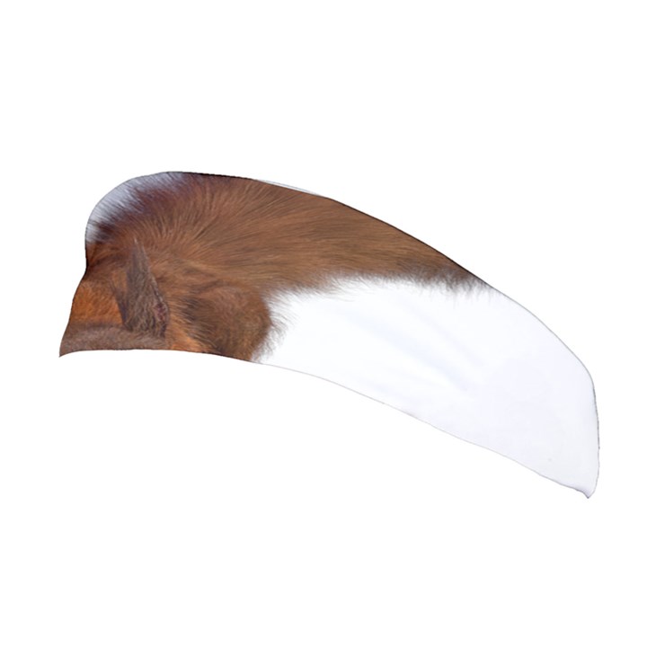 Squirrel Wild Animal Animal World Stretchable Headband