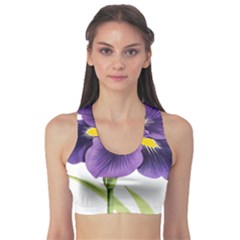 Lily Flower Plant Blossom Bloom Sports Bra by Nexatart