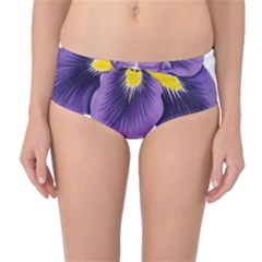 Lily Flower Plant Blossom Bloom Mid-waist Bikini Bottoms by Nexatart