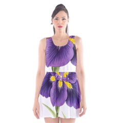 Lily Flower Plant Blossom Bloom Scoop Neck Skater Dress by Nexatart