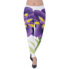 Lily Flower Plant Blossom Bloom Velvet Leggings