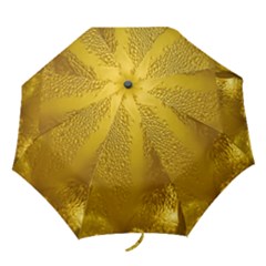 Beer Beverage Glass Yellow Cup Folding Umbrellas by Nexatart