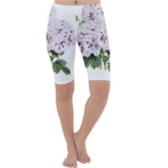 Flower Plant Blossom Bloom Vintage Cropped Leggings  by Nexatart