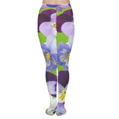 Spring Pansy Blossom Bloom Plant Women s Tights by Nexatart