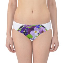 Spring Pansy Blossom Bloom Plant Hipster Bikini Bottoms by Nexatart